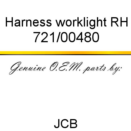 Harness, worklight, RH 721/00480