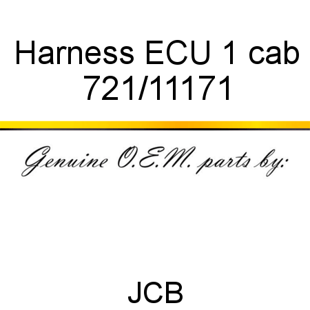 Harness, ECU 1 cab 721/11171