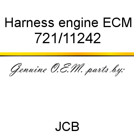 Harness, engine ECM 721/11242