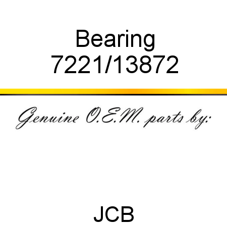 Bearing 7221/13872