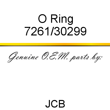 O Ring 7261/30299