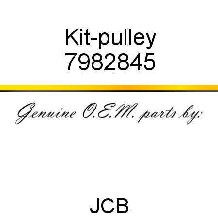 Kit-pulley 7982845