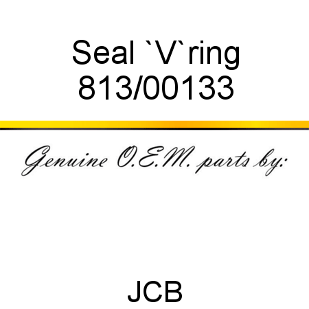Seal, `V`ring 813/00133