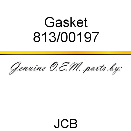Gasket 813/00197