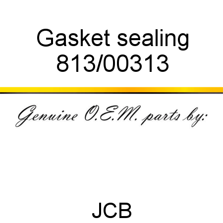 Gasket, sealing 813/00313