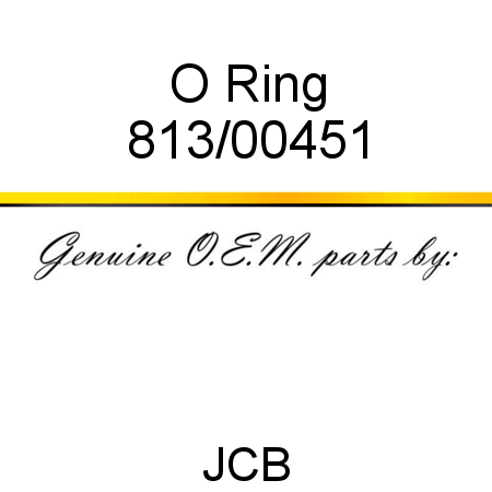 O Ring 813/00451