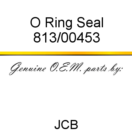 O Ring, Seal 813/00453