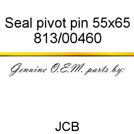 Seal, pivot pin, 55x65 813/00460