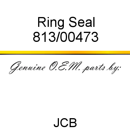 Ring, Seal 813/00473