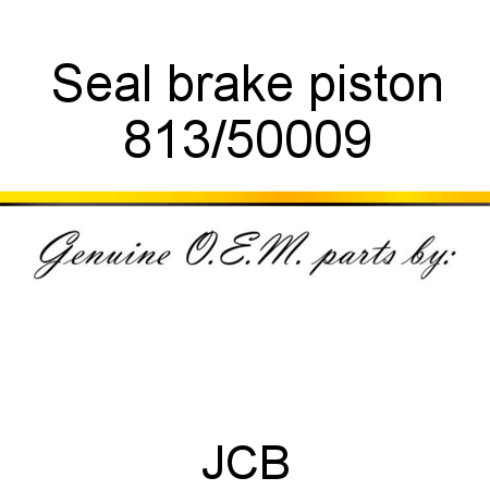 Seal, brake piston 813/50009