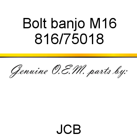 Bolt, banjo, M16 816/75018