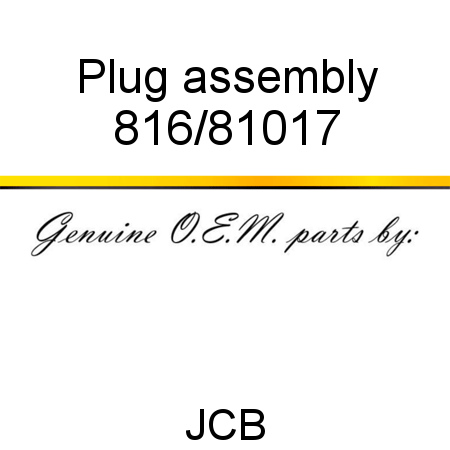 Plug, assembly 816/81017