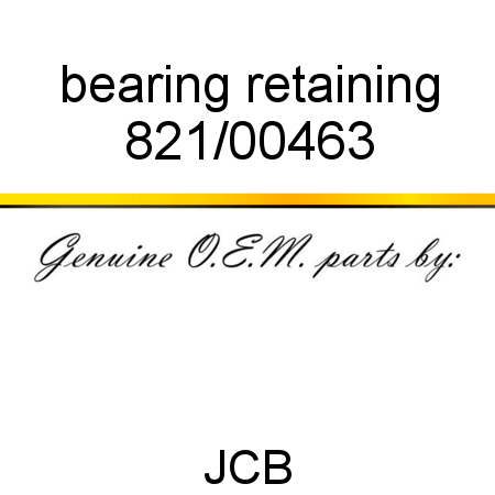bearing retaining 821/00463