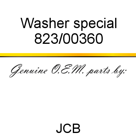 Washer, special 823/00360