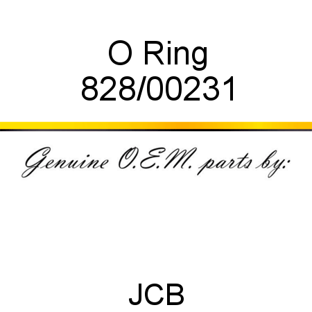 O Ring 828/00231