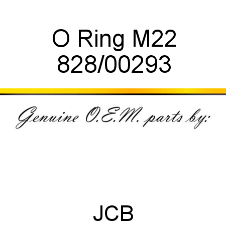 O Ring, M22 828/00293