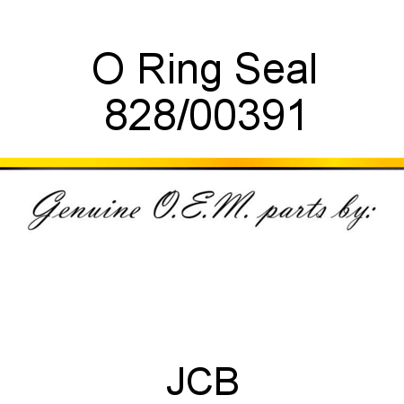 O Ring, Seal 828/00391