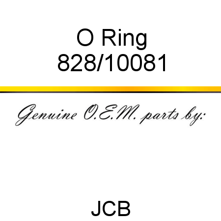 O Ring 828/10081