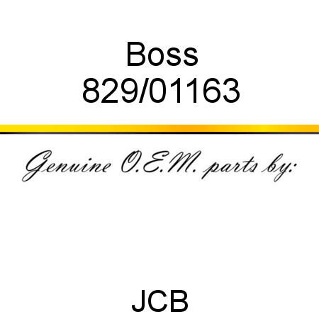Boss 829/01163
