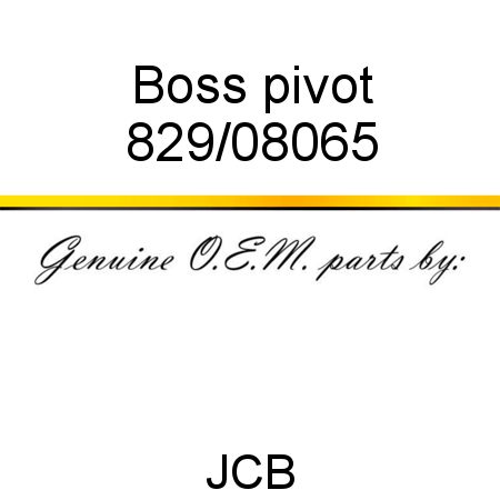 Boss, pivot 829/08065