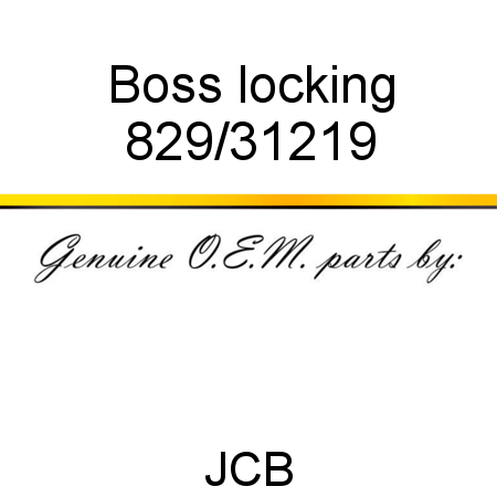 Boss, locking 829/31219