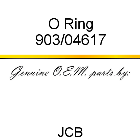 O Ring 903/04617
