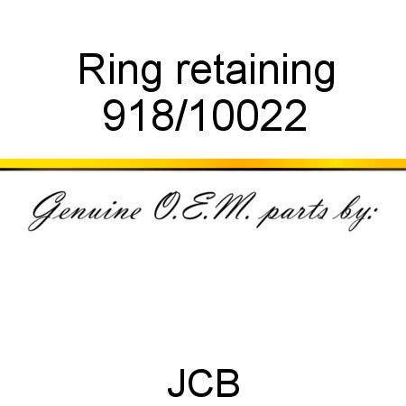 Ring, retaining 918/10022