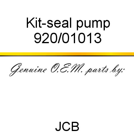 Kit-seal, pump 920/01013