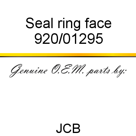 Seal, ring, face 920/01295
