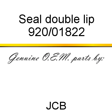 Seal, double lip 920/01822