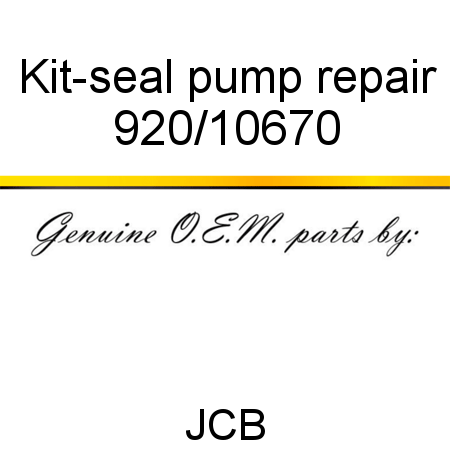 Kit-seal, pump repair 920/10670