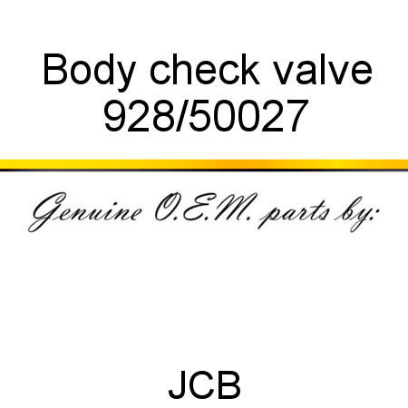 Body, check valve 928/50027