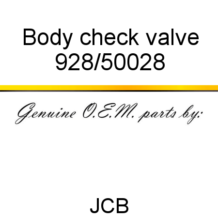 Body, check valve 928/50028