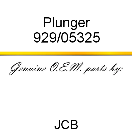 Plunger 929/05325