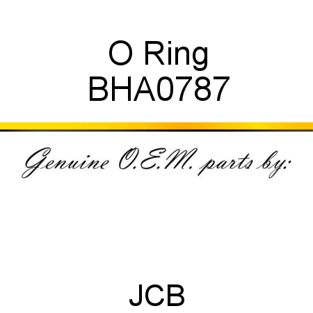 O Ring BHA0787