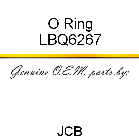 O Ring LBQ6267