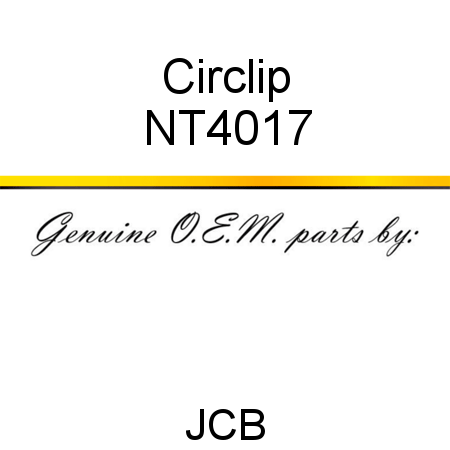 Circlip NT4017