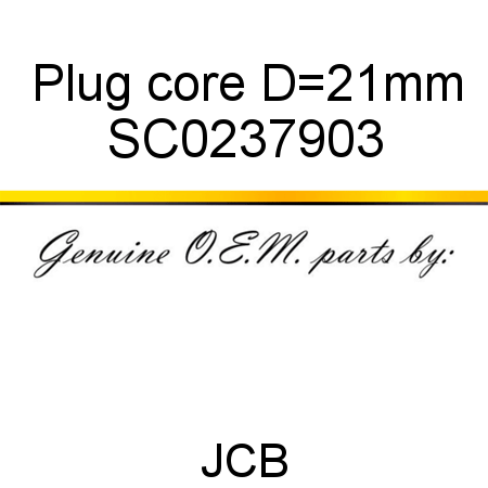 Plug, core, D=21mm SC0237903