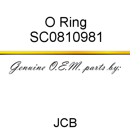 O Ring SC0810981