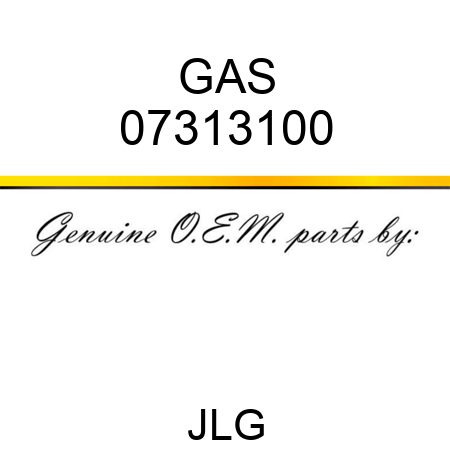 GAS 07313100