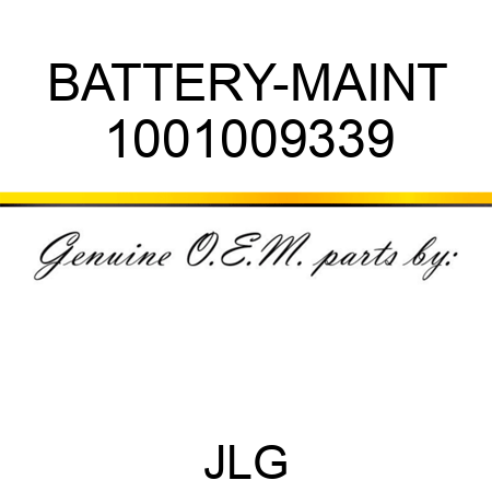 BATTERY-MAINT 1001009339