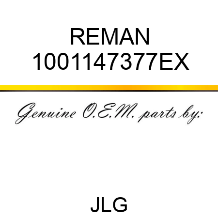REMAN 1001147377EX