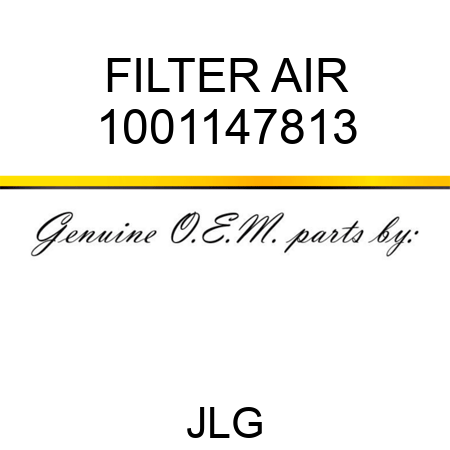 FILTER AIR 1001147813