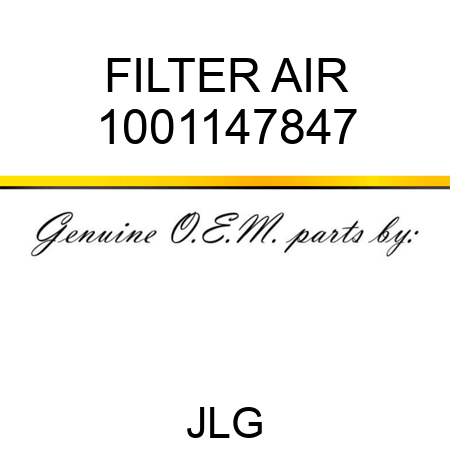 FILTER AIR 1001147847