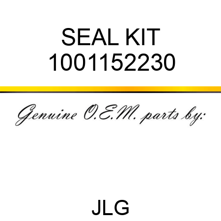 SEAL KIT 1001152230