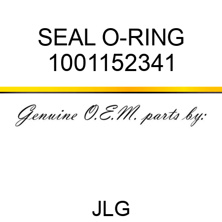 SEAL O-RING 1001152341