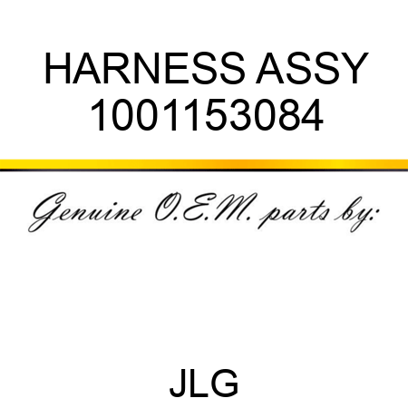 HARNESS ASSY 1001153084