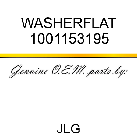 WASHERFLAT 1001153195