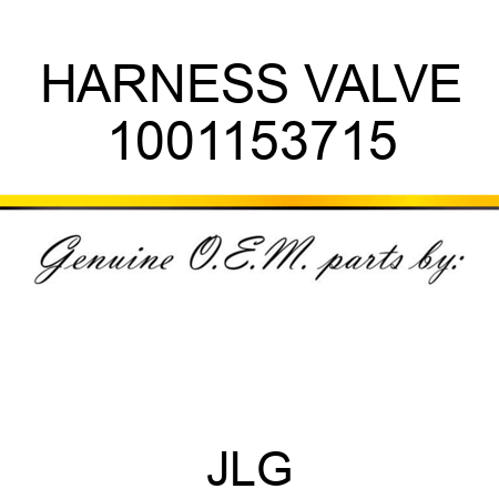 HARNESS VALVE 1001153715