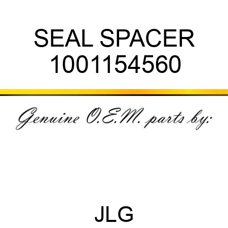 SEAL SPACER 1001154560